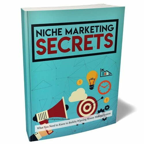 Niche Maketing Secrets 411x480.jpg