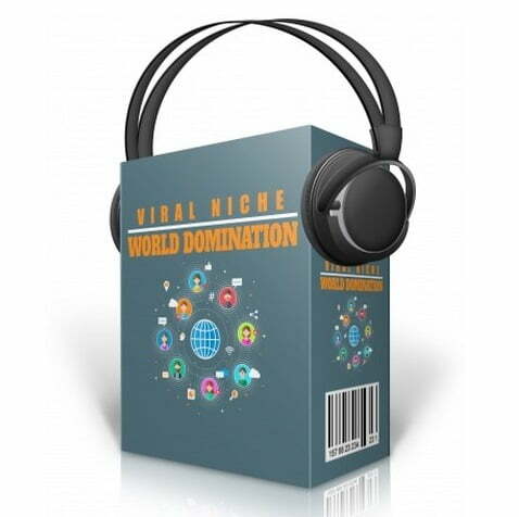 Viral Niche World Domination 387x480.jpg